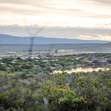 Buffelsdrift Game Lodge Oudtshoorn Exterior foto