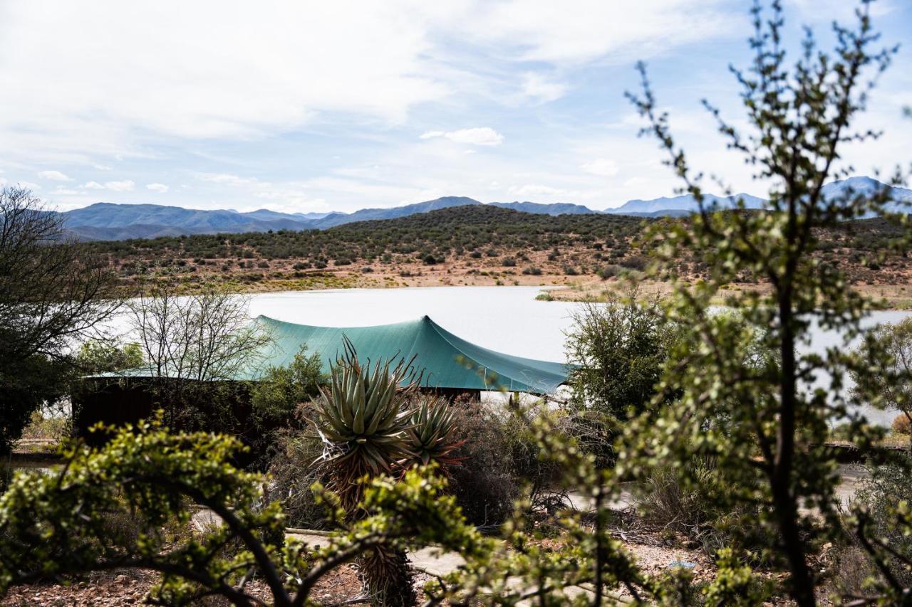 Buffelsdrift Game Lodge Oudtshoorn Exterior foto