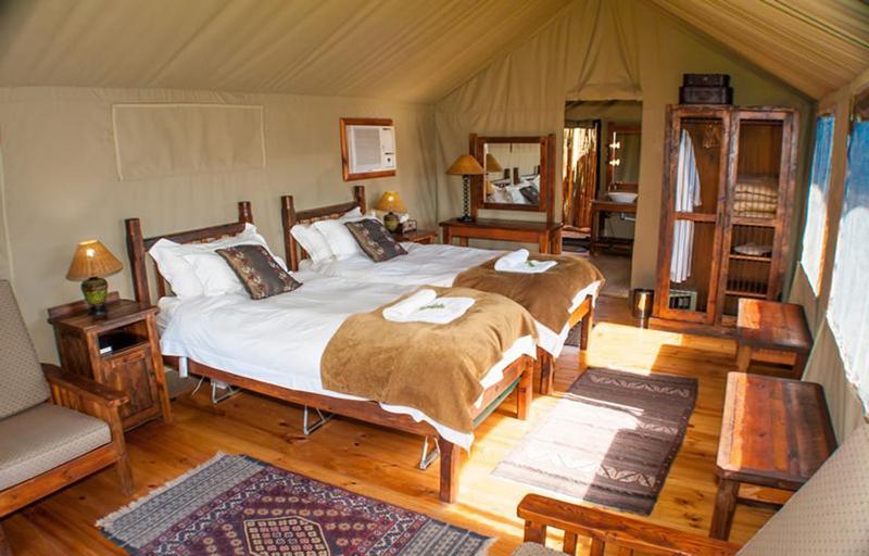 Buffelsdrift Game Lodge Oudtshoorn Quarto foto