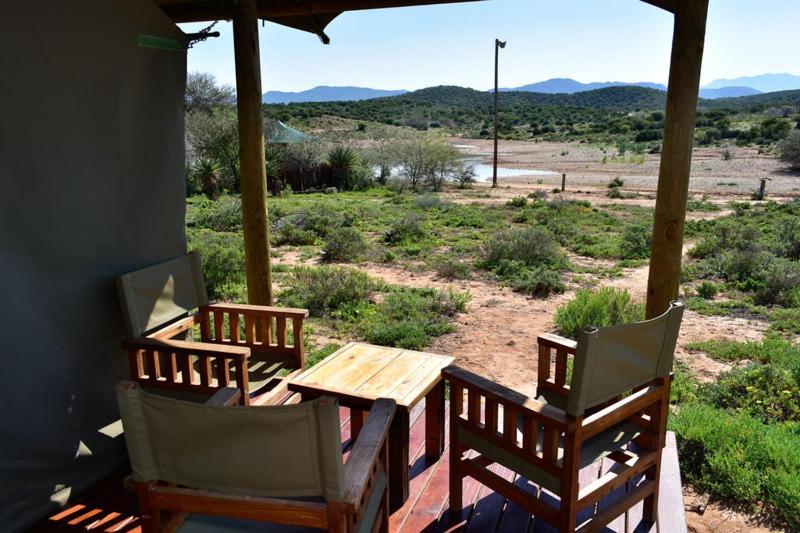 Buffelsdrift Game Lodge Oudtshoorn Quarto foto