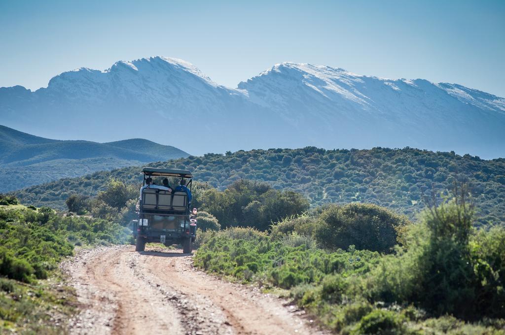 Buffelsdrift Game Lodge Oudtshoorn Exterior foto