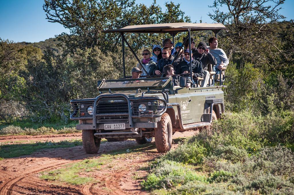 Buffelsdrift Game Lodge Oudtshoorn Exterior foto