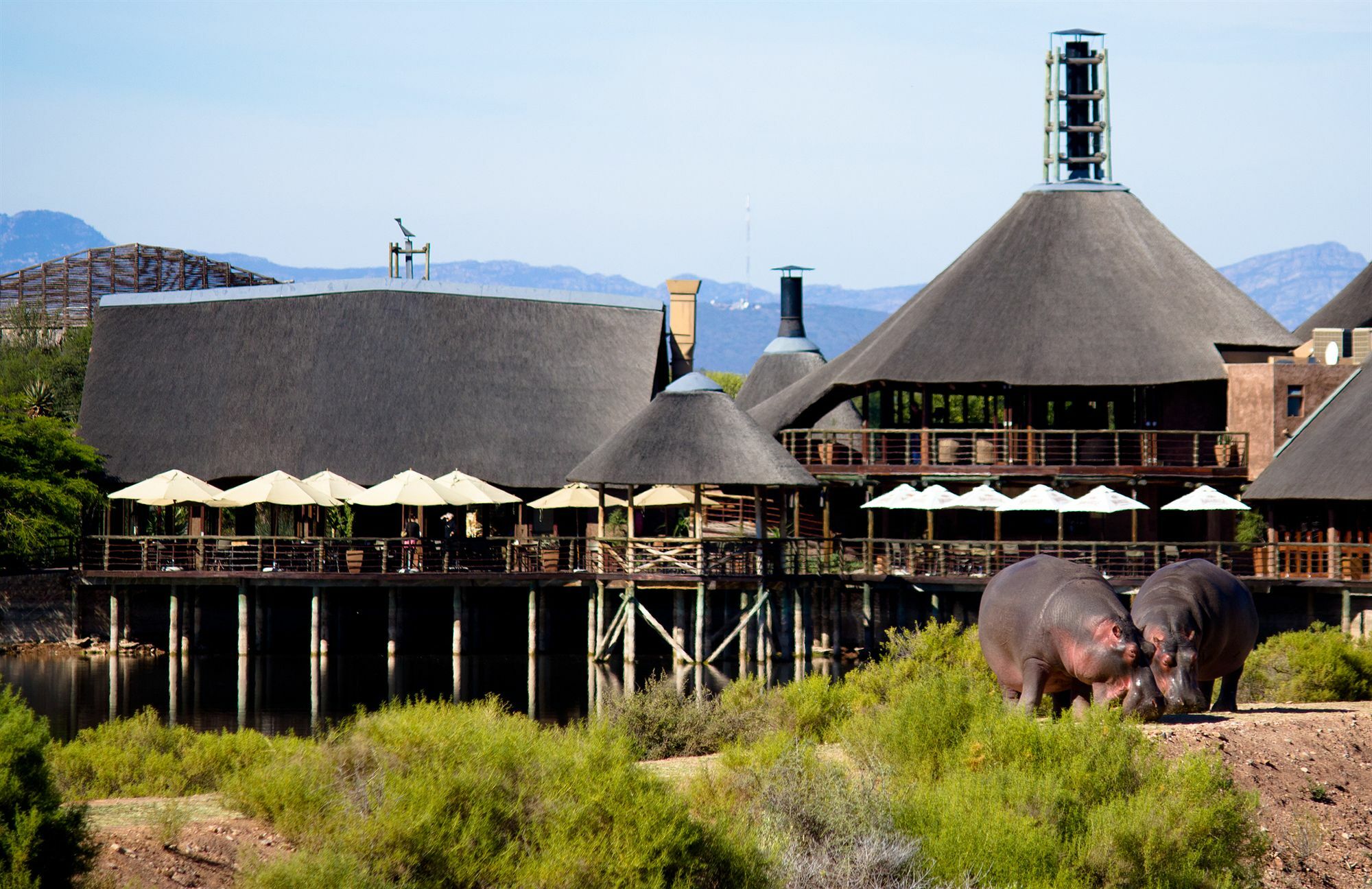 Buffelsdrift Game Lodge Oudtshoorn Exterior foto